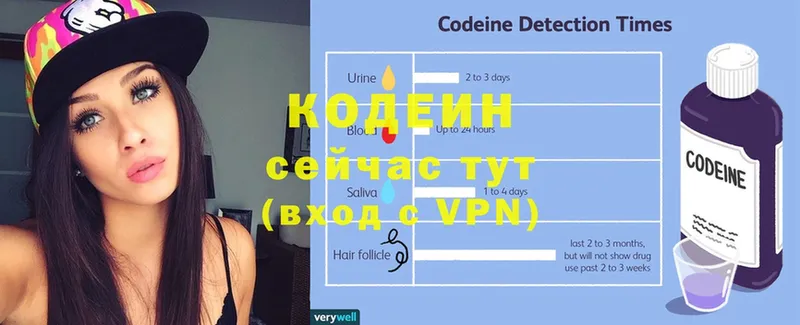 Codein Purple Drank  Богородицк 